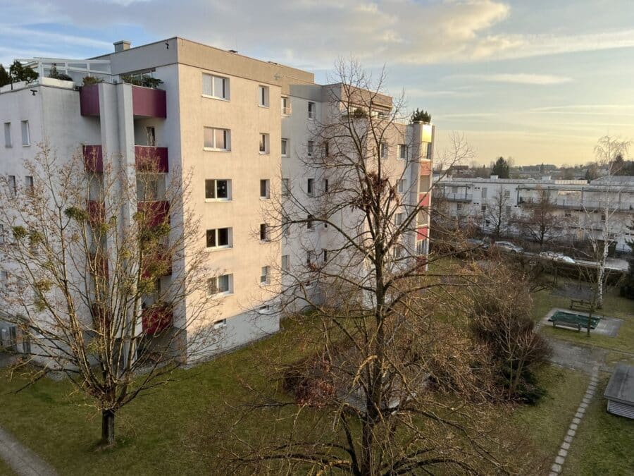 VOGELGEZWITSCHER, 4020 Linz, Wohnung